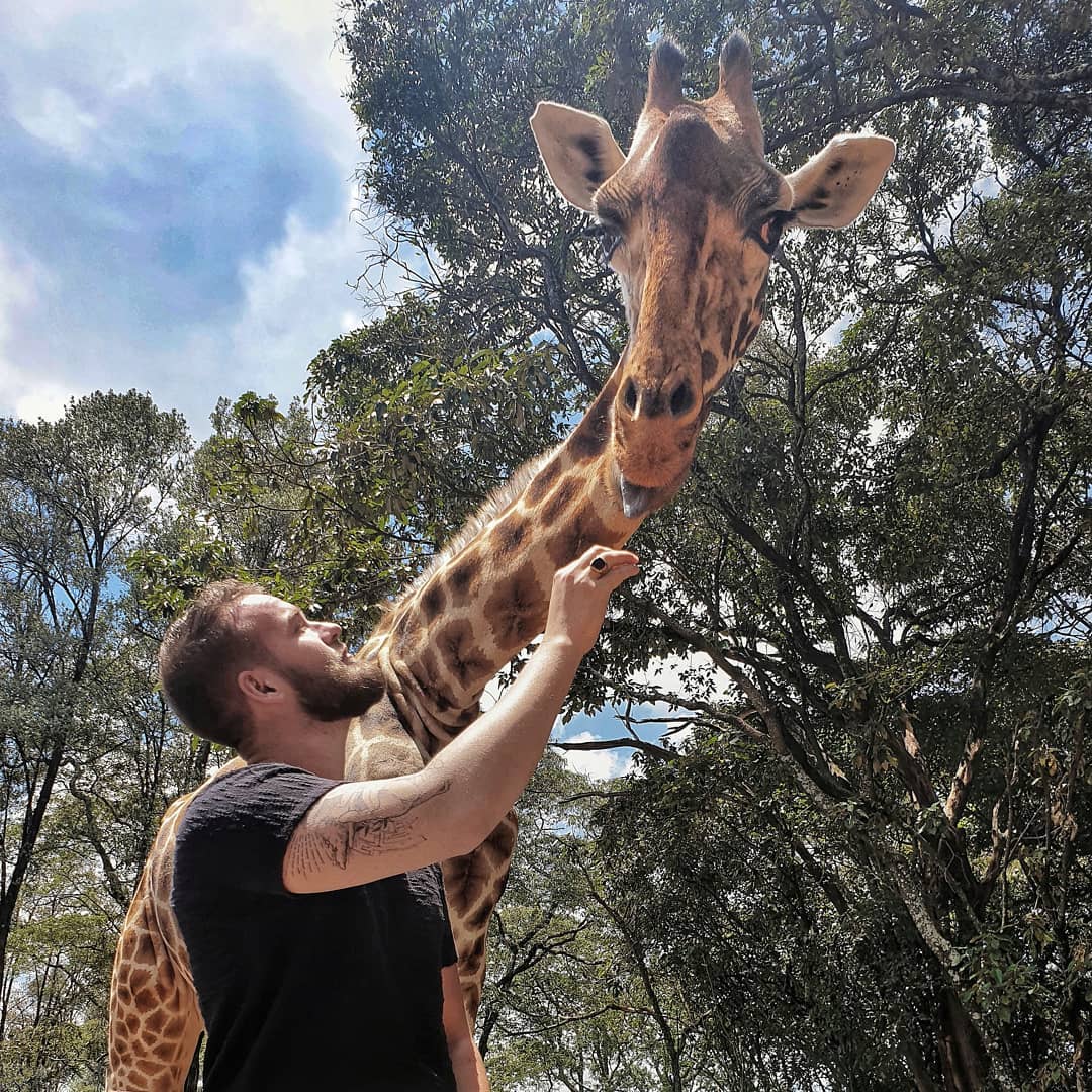 Arnaud Bruckler tend la main vers une girafe au Giraffe Centre de Nairobi