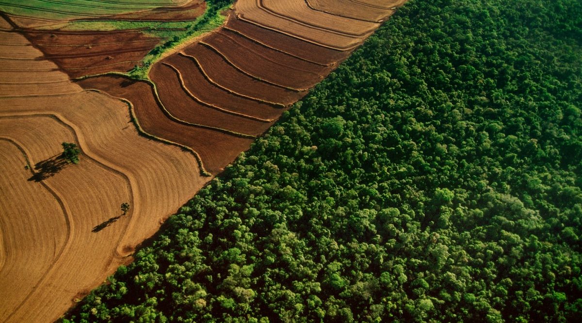 01_deforestation_report_nationalgeographic_1369321_16x9