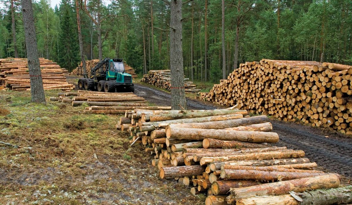 Lumber-piles