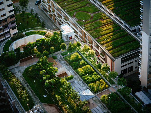 Urban-agriculture-our-food-system