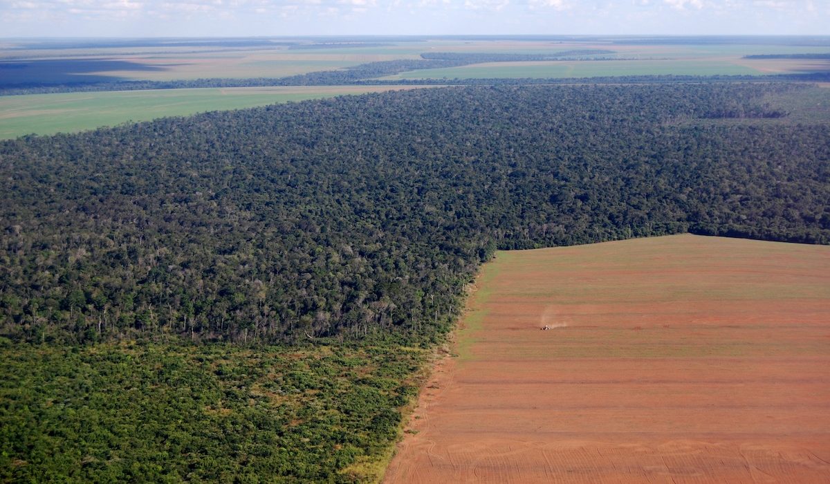 deforestation-amazon-land-management-040121-1
