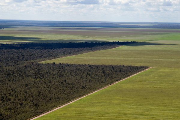 granchaco_deforest_landscape_summer2018