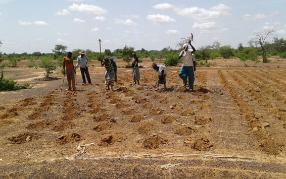 ordinary-zaã-in-Burkina-Faso