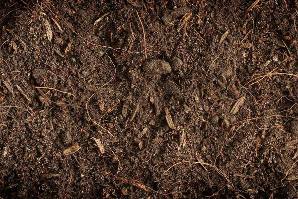 what-does-organic-matter-do-in-soil